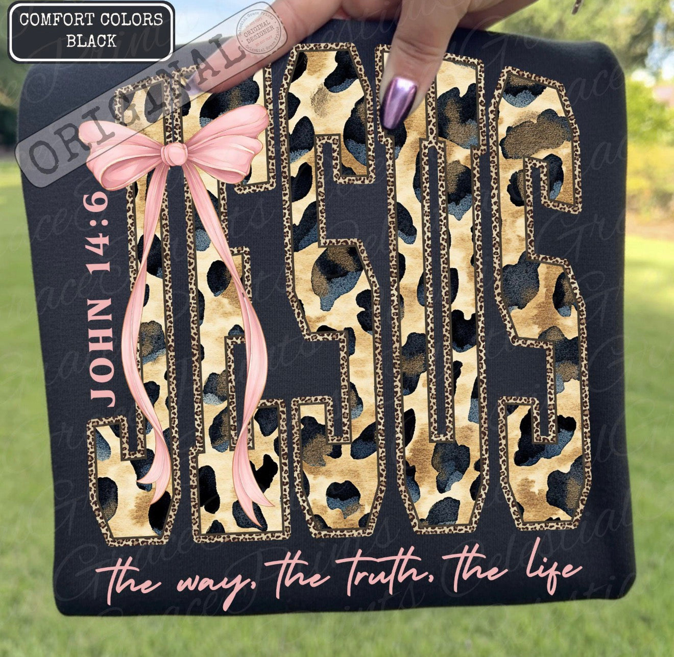 Jesus, The Way, The Truth, The Life