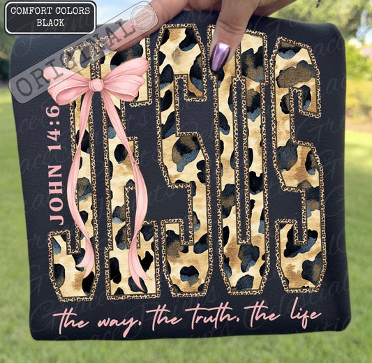 Jesus, The Way, The Truth, The Life