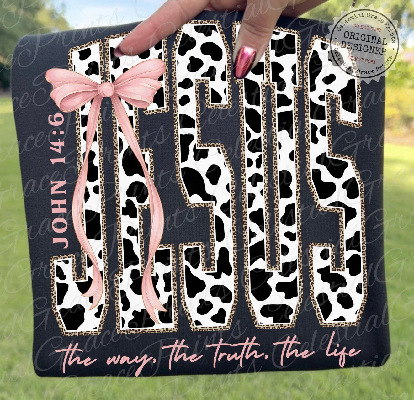 Jesus, The Way, The Truth, The Life